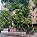 Calea Vitan, Auchan, Pret fix